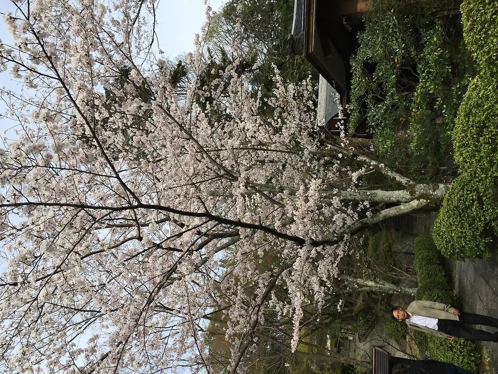 Ryokan Uemura Kyoto