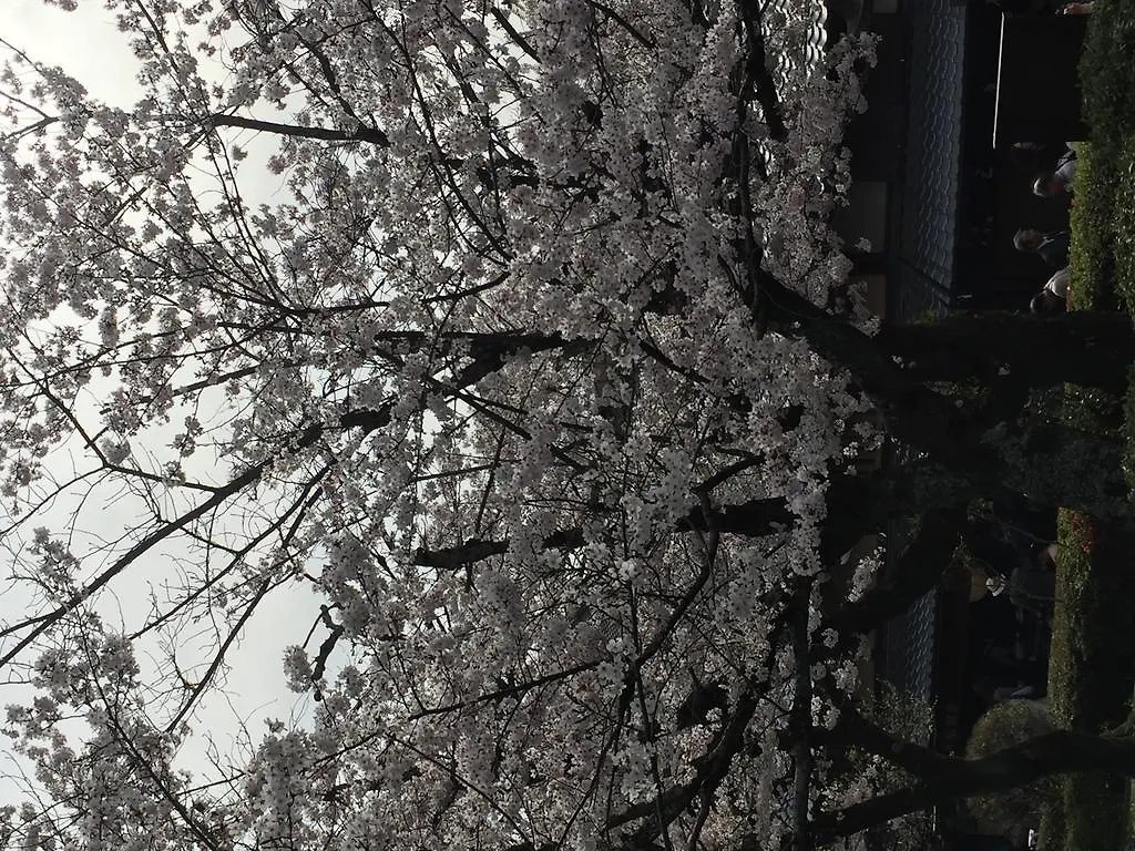 Ryokan Uemura Kyoto