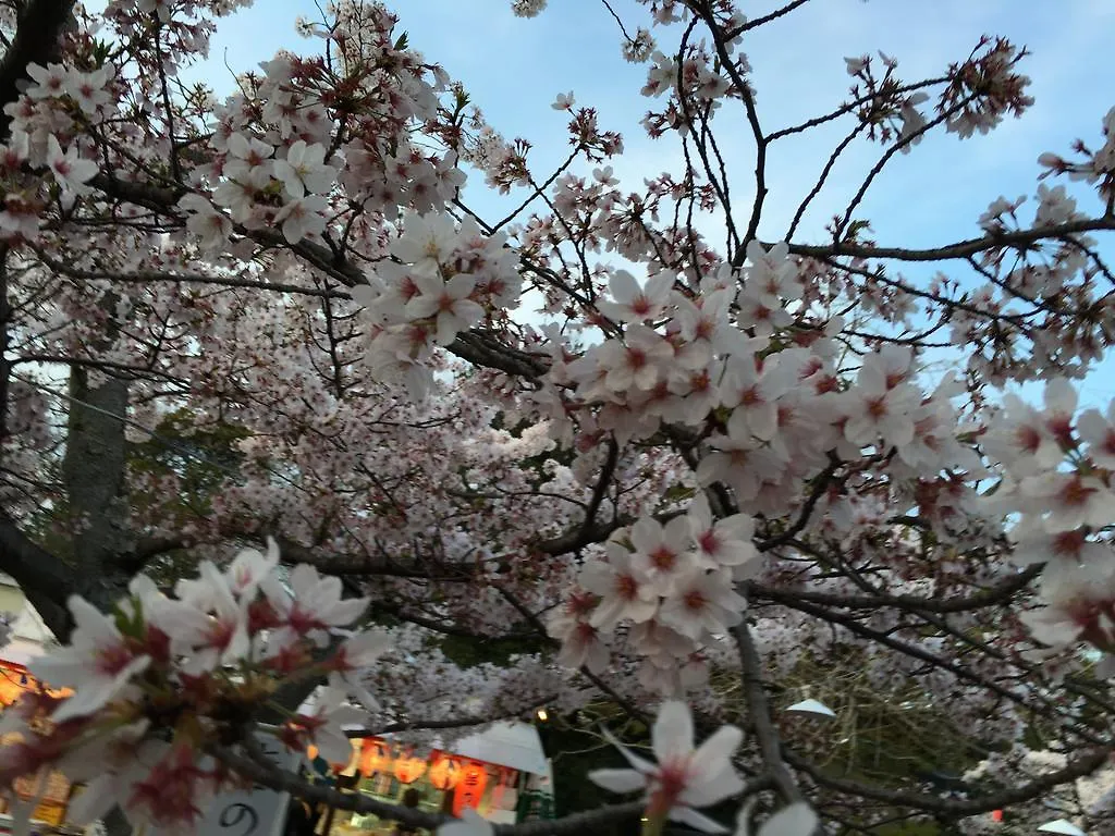 旅館うえむら 京都市