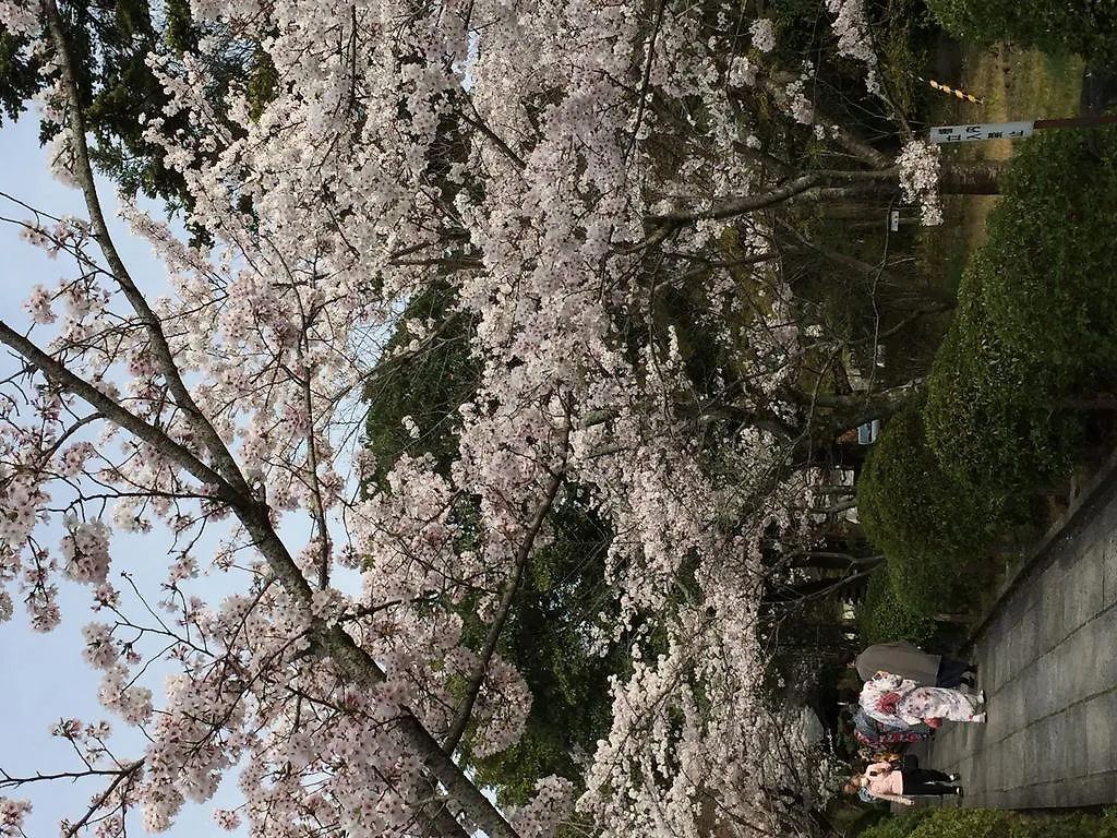 旅館うえむら 京都市