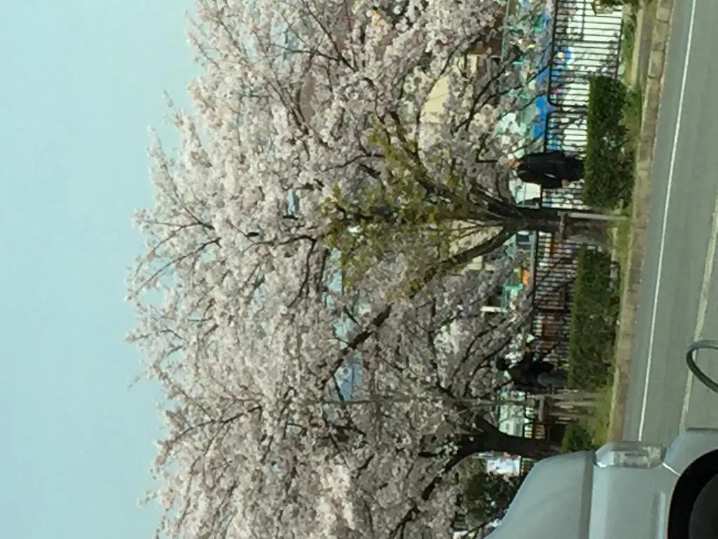 旅館うえむら 京都市 2*,  日本